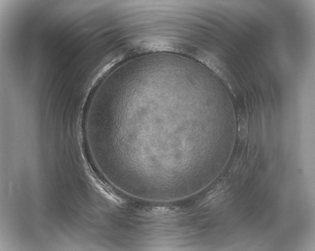 X0000066990390200603271320