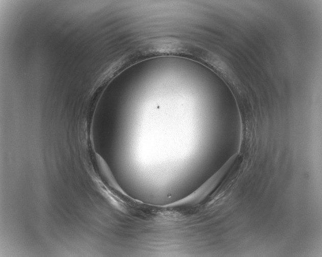 X0000066990397200603271320