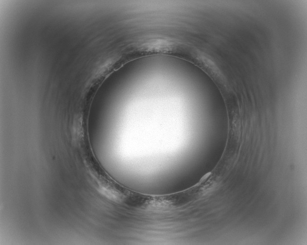 X0000066990403200603271319
