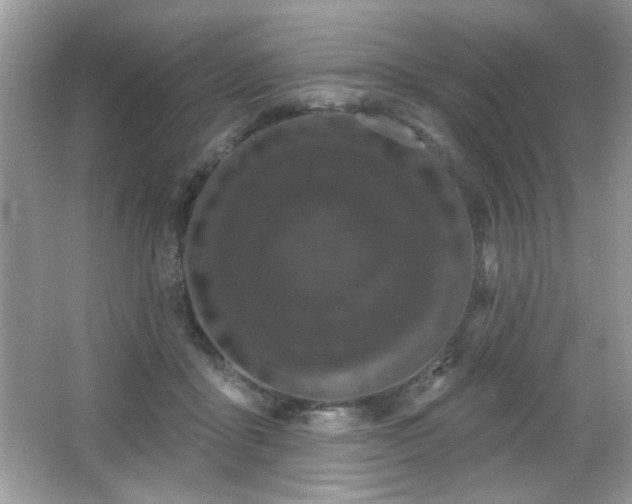 X0000066990411200603271319