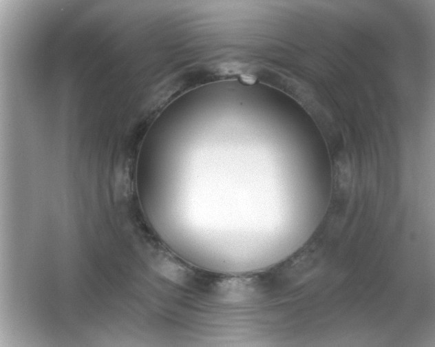 X0000066990422200603271319