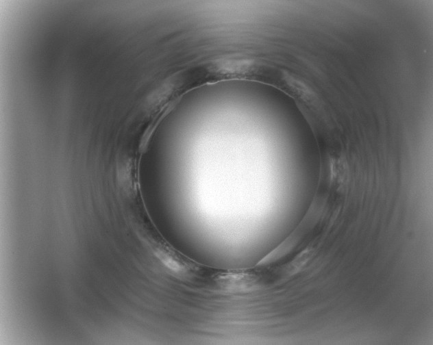X0000066990428200603271319