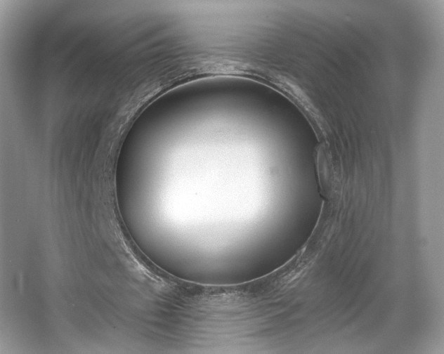 X0000066990433200603271318