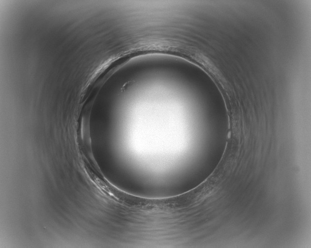 X0000066990434200603271318