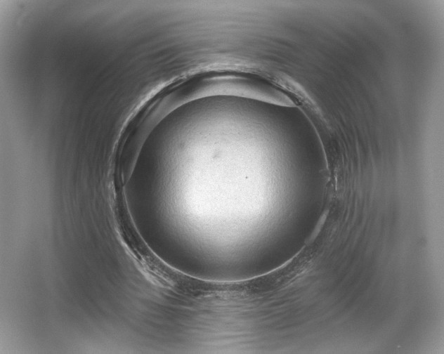 X0000066990436200603271318