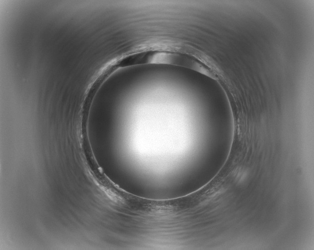 X0000066990438200603271318