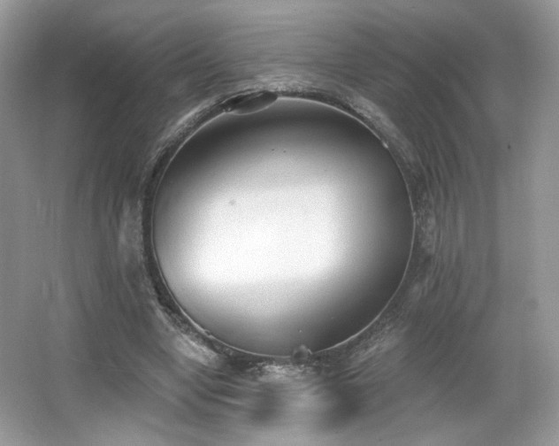 X0000066990442200603271318