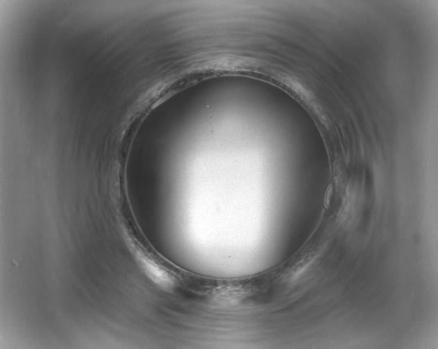 X0000066990445200603271318