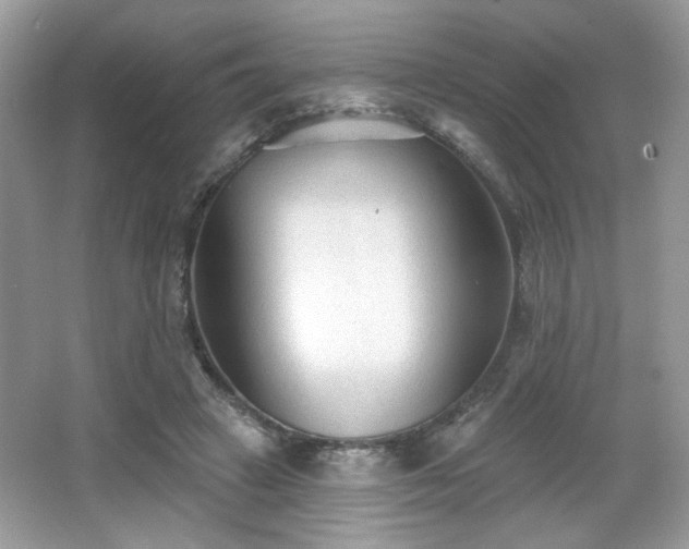 X0000066990449200603271318