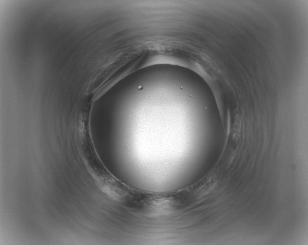X0000066990456200603271319