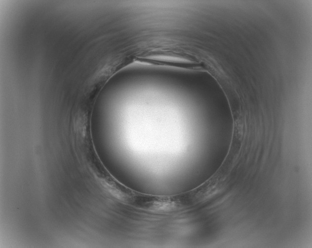 X0000066990458200603271319
