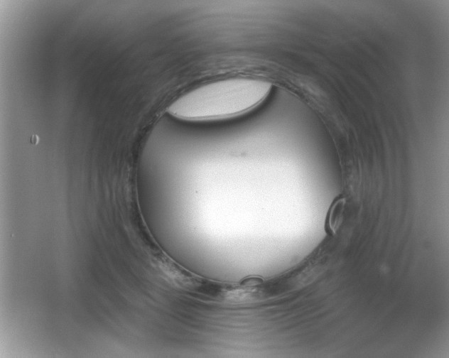 X0000066990461200603271319