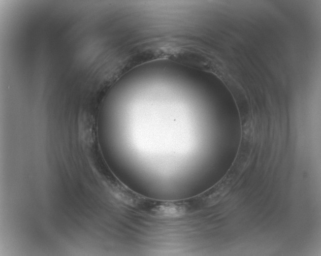 X0000066990464200603271319