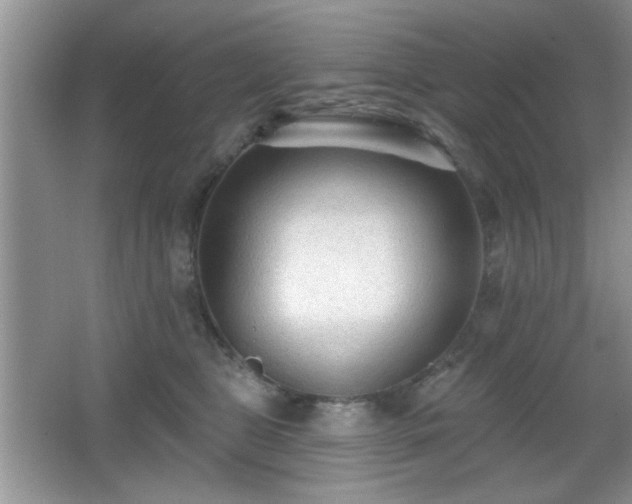 X0000066990469200603271319
