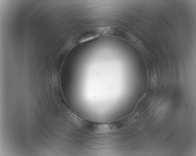 X0000066990473200603271319