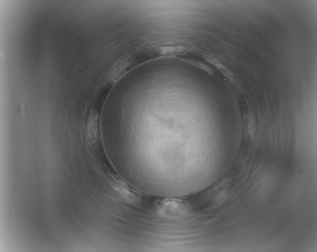 X0000066990475200603271319