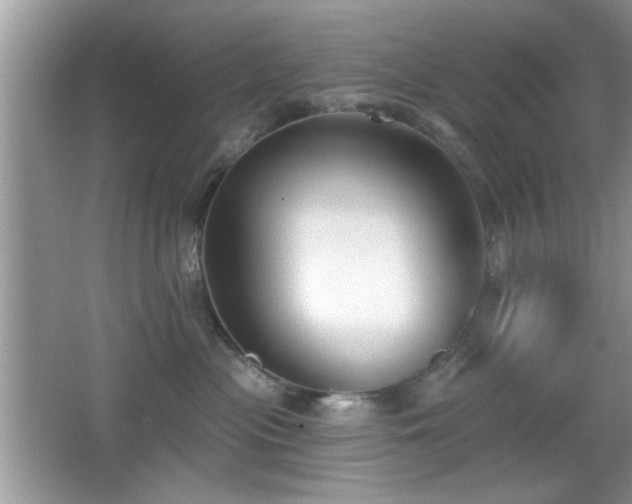X0000066990477200603271319