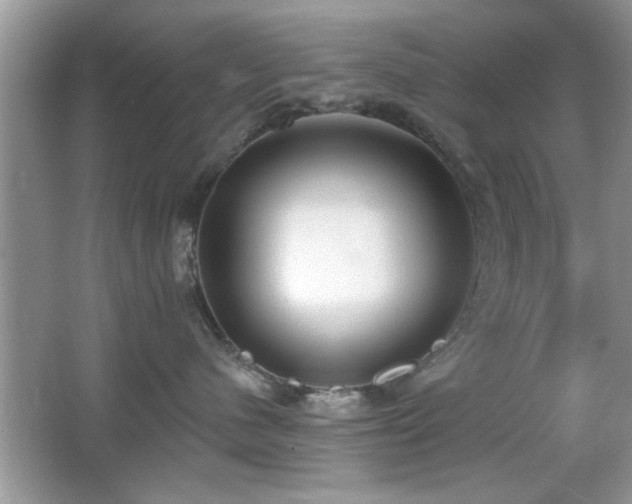 X0000066990480200603271319