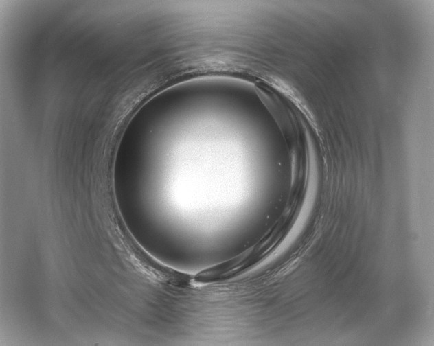 X0000066990481200603271318
