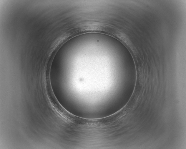 X0000066990482200603271318