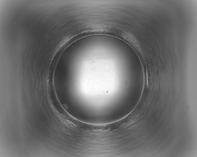 X0000066990483200603271318