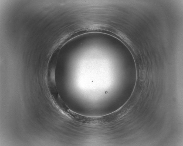 X0000066990485200603271318