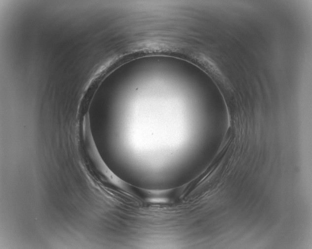 X0000066990488200603271318
