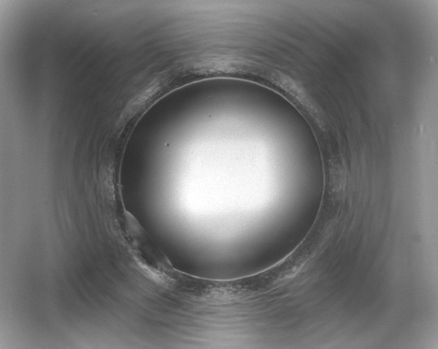 X0000066990489200603271318