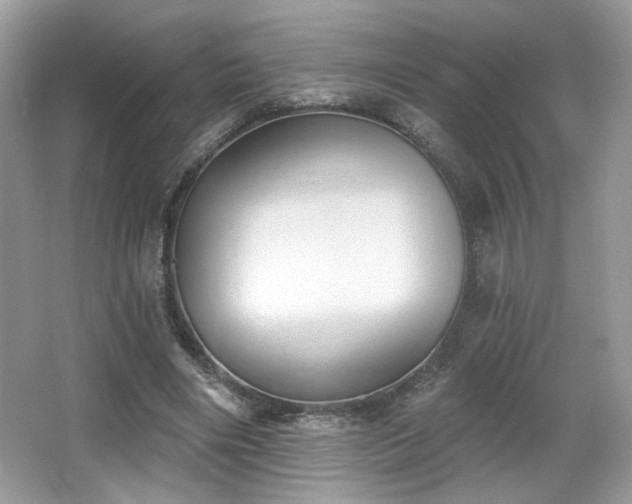 X0000066990490200603271318