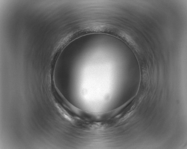 X0000066990493200603271318