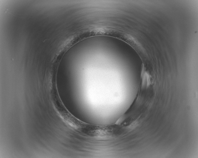 X0000066990496200603271318