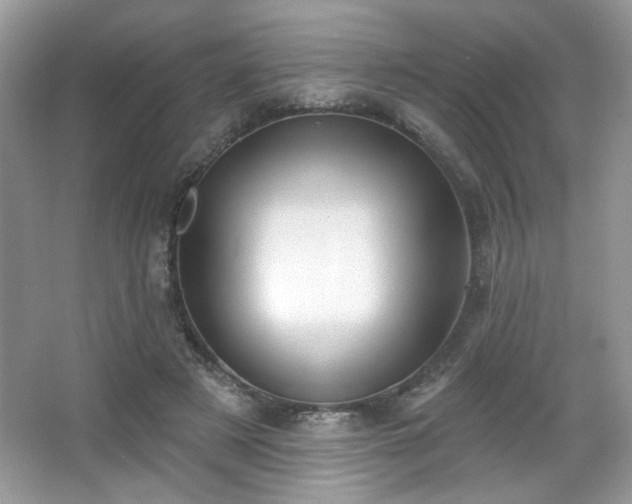 X0000066990497200603271318