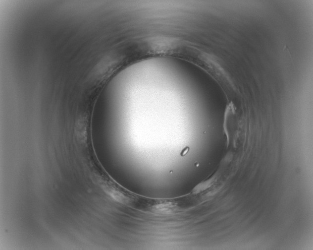 X0000066990505200603271318