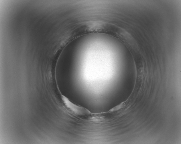 X0000066990508200603271318