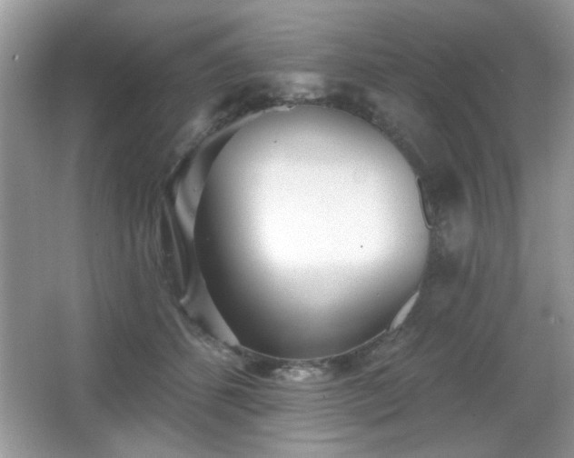 X0000066990512200603271318