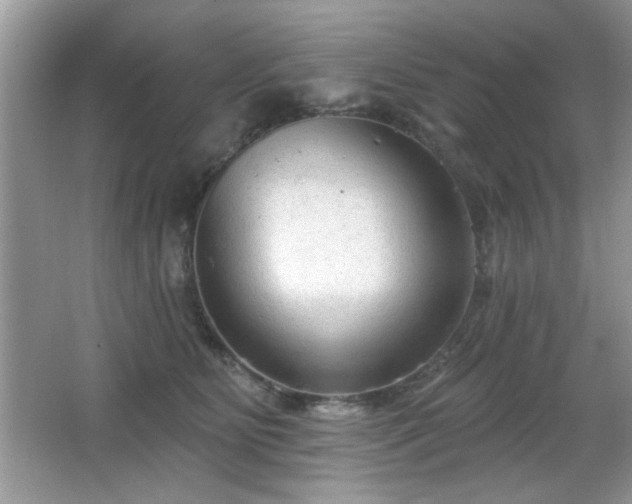 X0000066990515200603271318