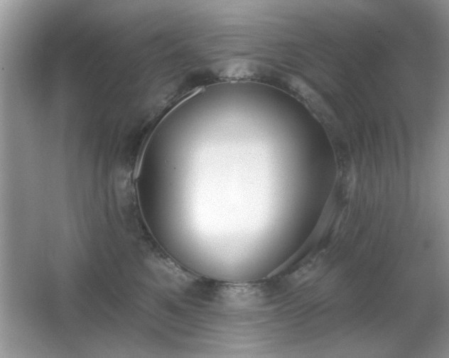 X0000066990521200603271317