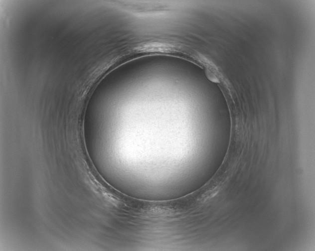 X0000066990529200603271317