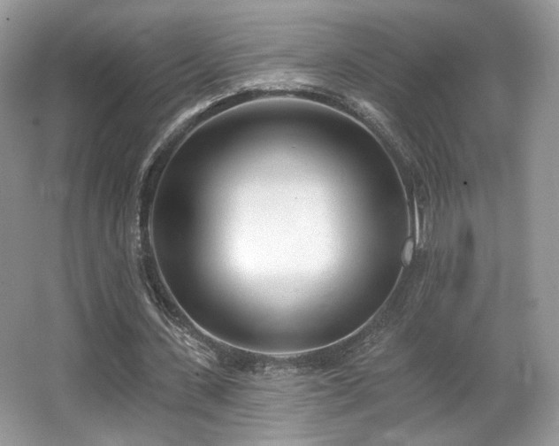 X0000066990531200603271317