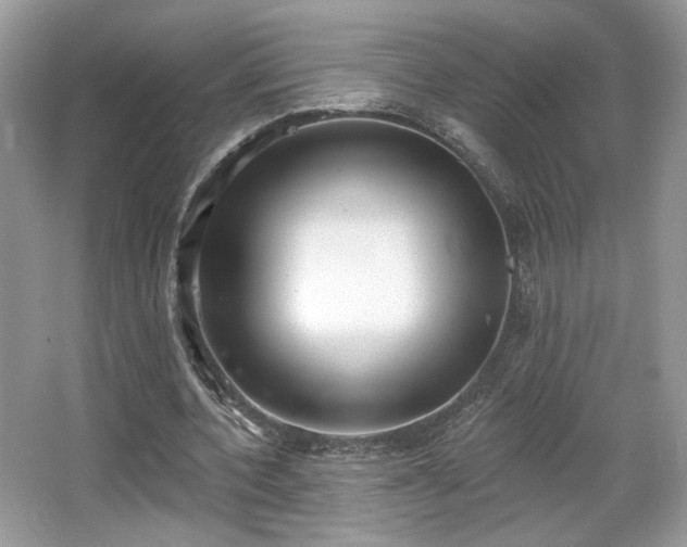 X0000066990532200603271317