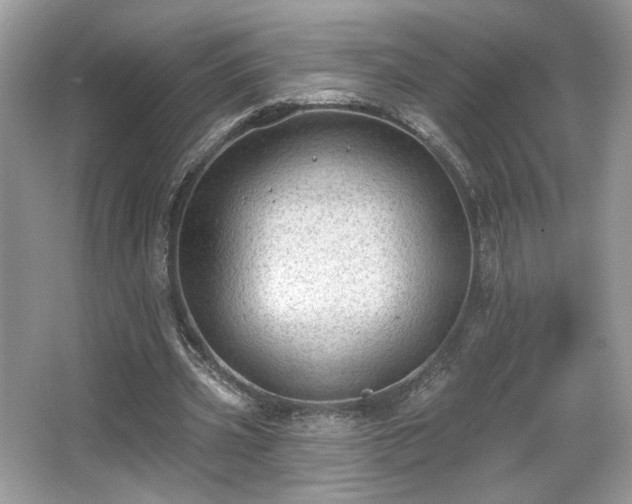 X0000066990533200603271317
