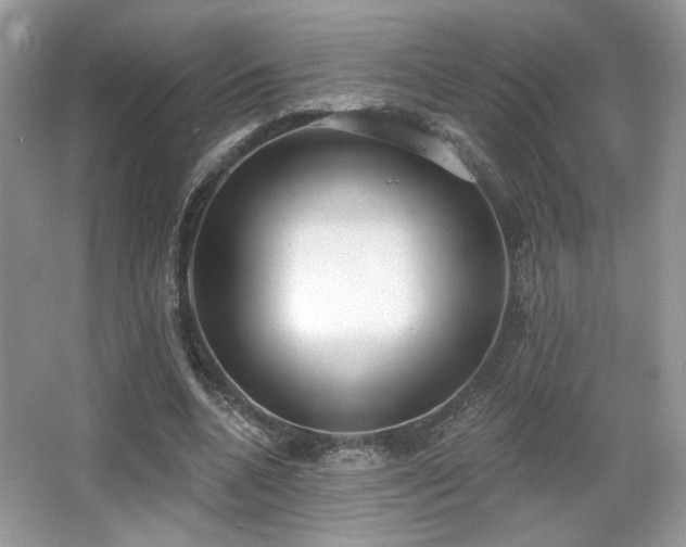 X0000066990536200603271317