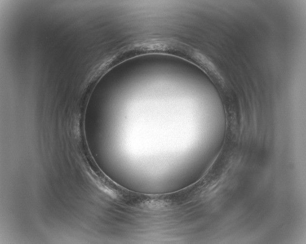 X0000066990537200603271317