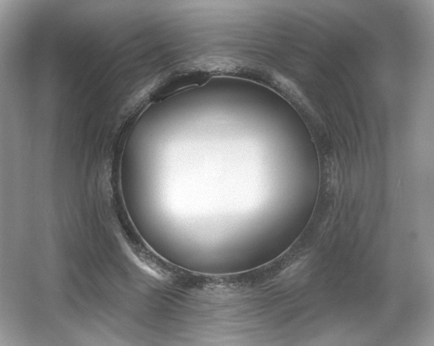 X0000066990538200603271317