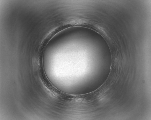 X0000066990539200603271317