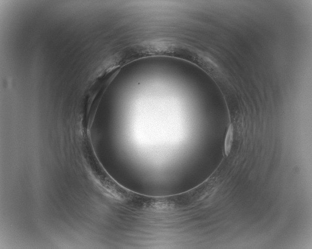 X0000066990546200603271317