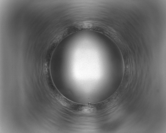 X0000066990555200603271317