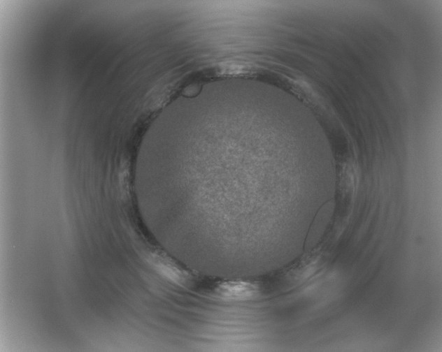 X0000066990557200603271317
