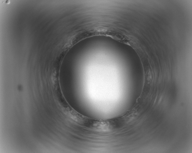 X0000066990559200603271317