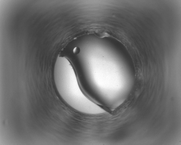 X0000066990561200603271317